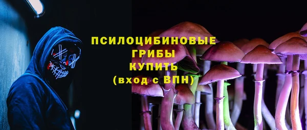 a pvp Алексин