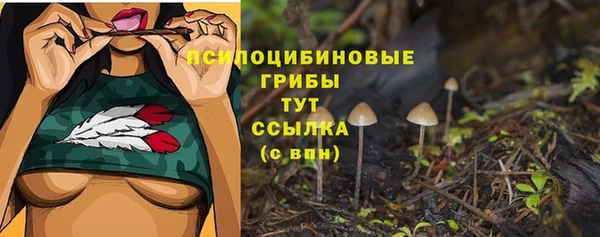 a pvp Алексин