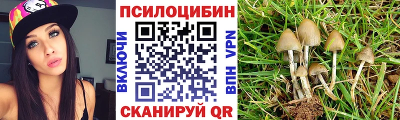 Псилоцибиновые грибы MAGIC MUSHROOMS  Сольвычегодск 